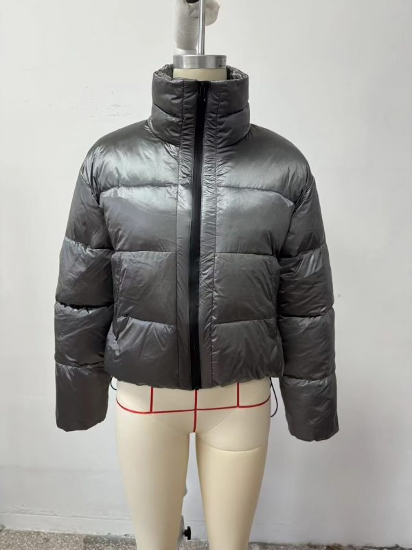 Winter Silver Glossy Cotton Jacket - Image 3