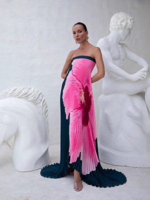 Pleated Printed Backless Tube Top Swing Dress