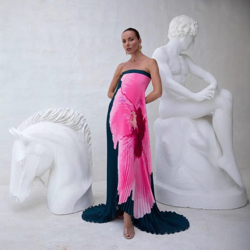 Pleated Printed Backless Tube Top Swing Dress