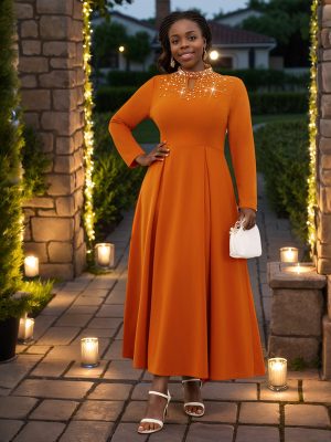 Elegant Beaded High Collar A-Line Swing Dress