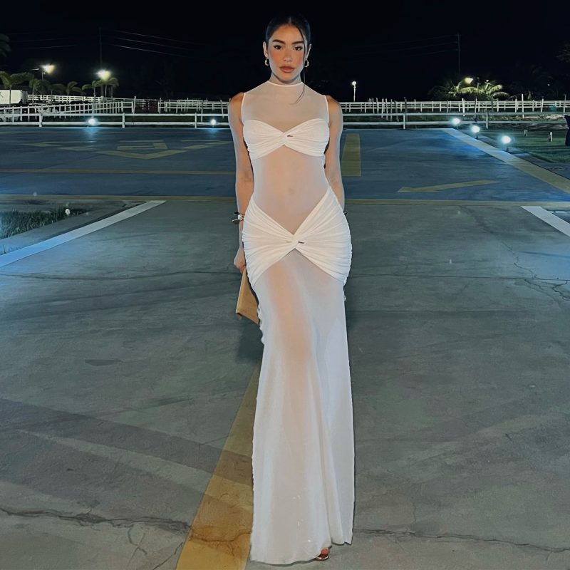Sexy Sheer Mesh Sheath Dress for Spring