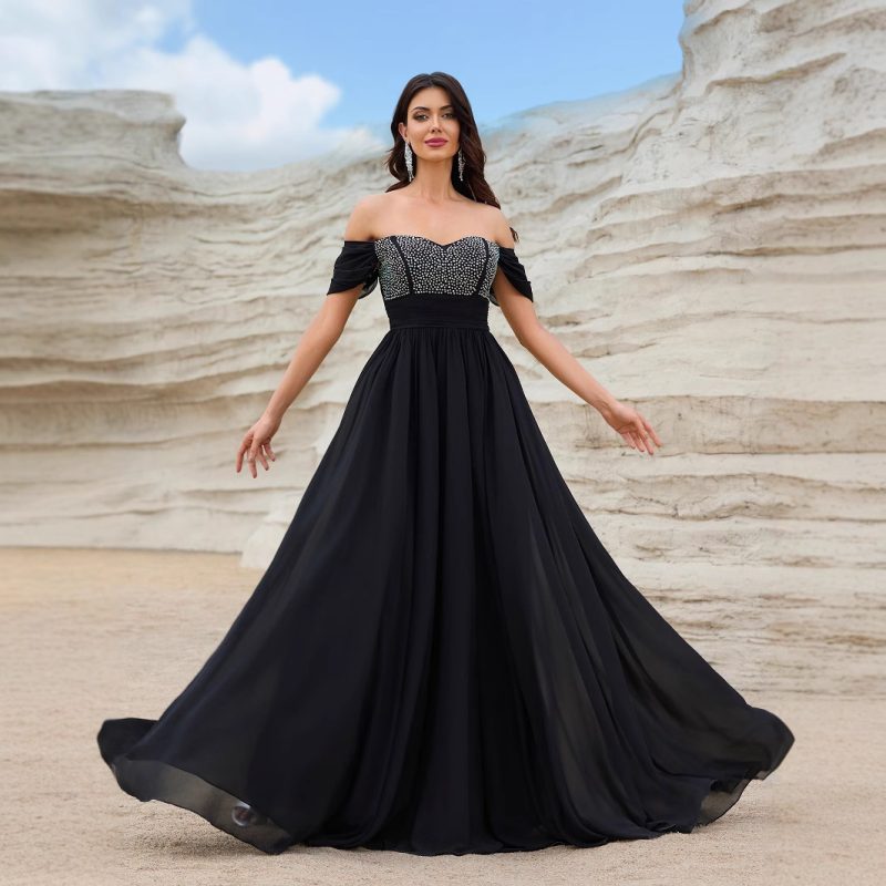Chiffon Maxi Evening Dress for Annual Meeting