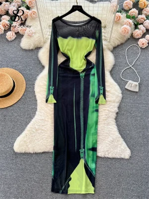 Mesh Print Bodycon Dress