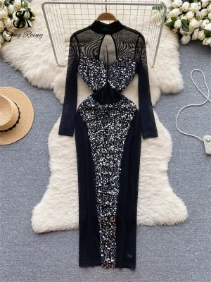 Elegant Sheer Mesh Sequin Dress with Embroidery