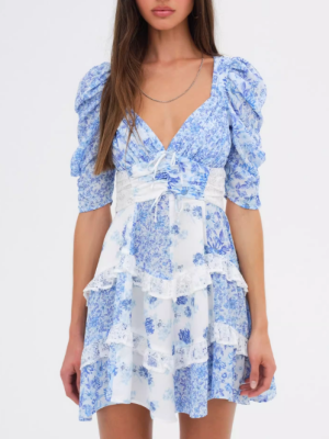 Porcelain Floral Lace V-Neck Spring Dress