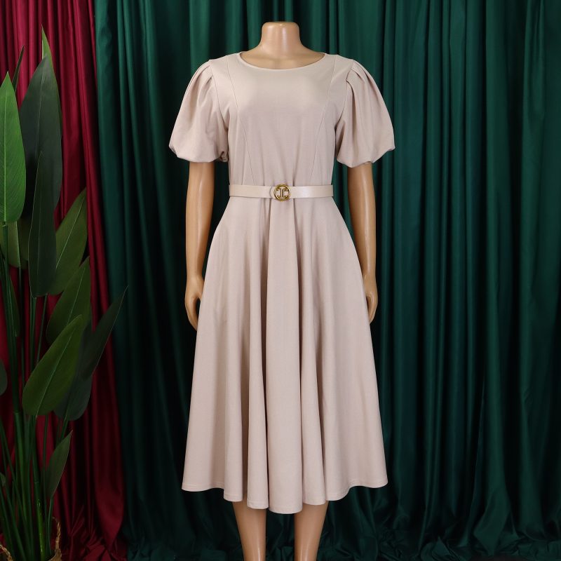 Elegant Puff Sleeve Waisted A-Line Hem Dress - Image 4