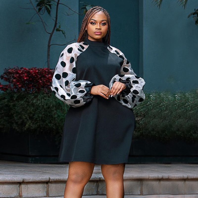 Daily Commuting Polka Dot Spring Dress Women