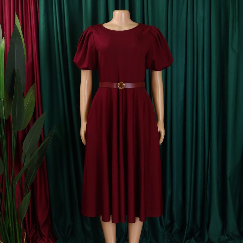 Elegant Puff Sleeve Waisted A-Line Hem Dress - Image 3
