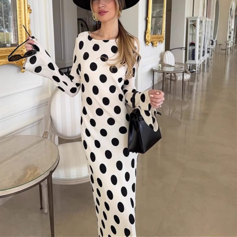 Polka Dot Long Sleeve A-Line Street Dress