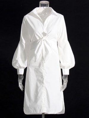 Elegant Spring Polo Collar Slim Waist Shirt Dress