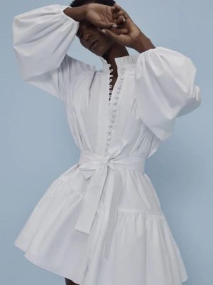 French Cotton Ruffle Collar Pleated A-Line Dress