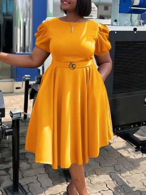 Elegant Puff Sleeve Waisted A-Line Hem Dress