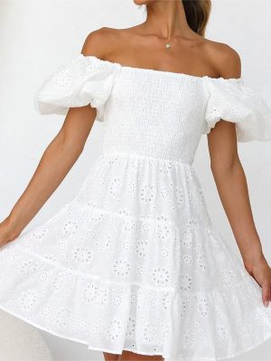 Spring Puff Sleeve Embroidered Cinched Short Dress