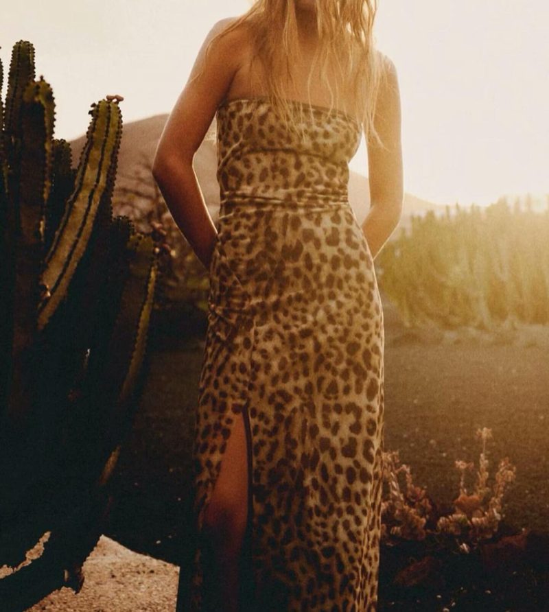 Classic Leopard Print Western Style Casual Dress