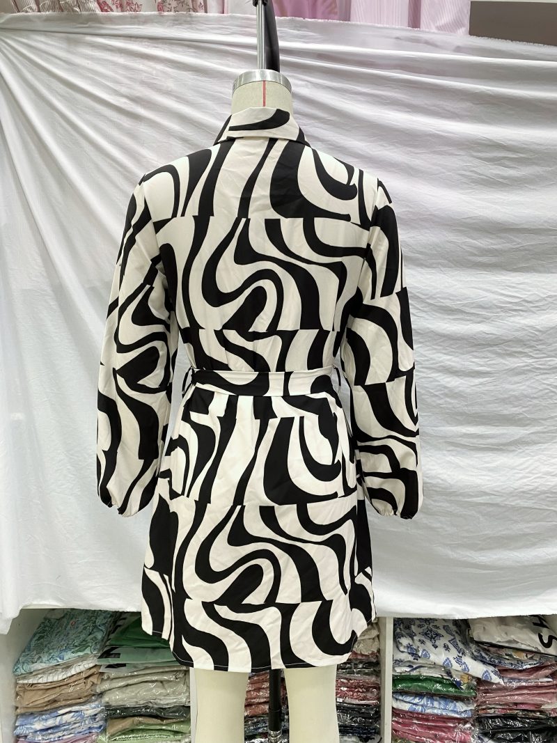 Collared Shirt Dress for Spring Summer Women - Image 3