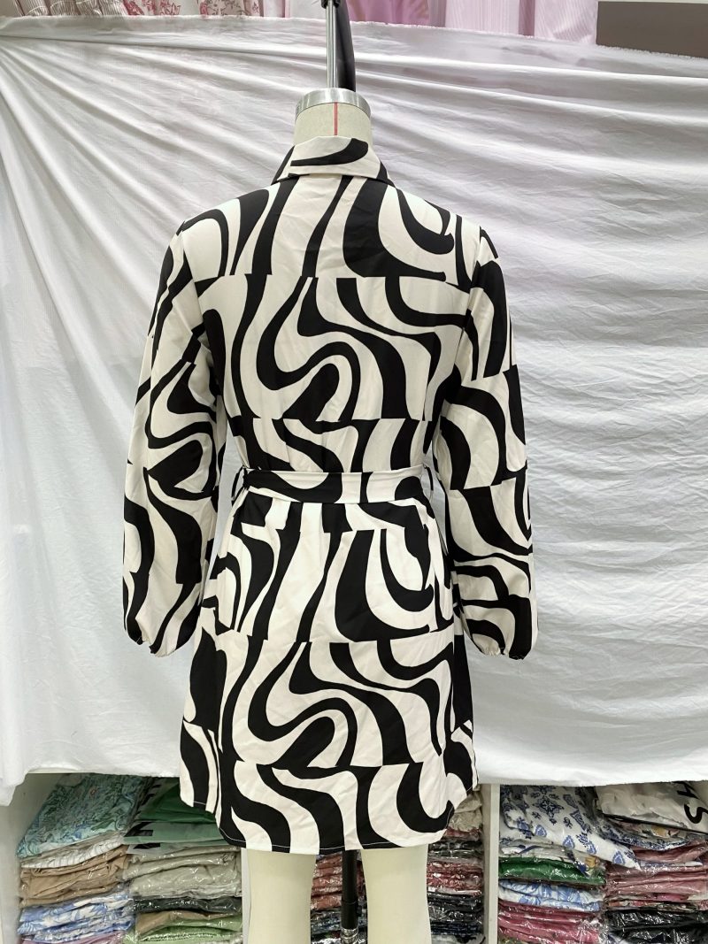 Collared Shirt Dress for Spring Summer Women - Image 3