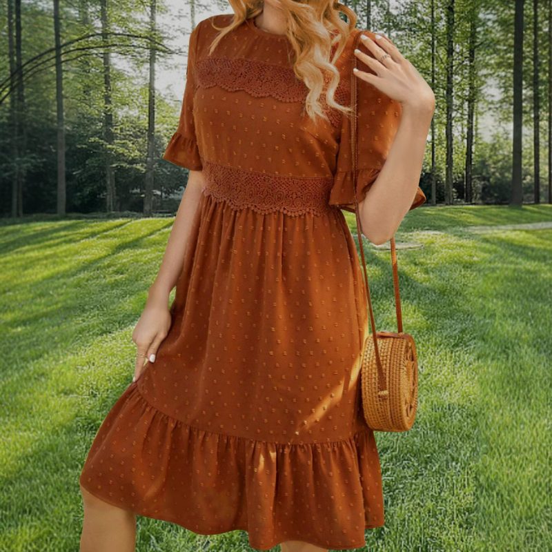 Spring Summer Ruffle Sleeve Lace Trim Dress