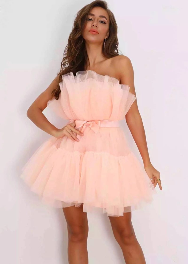 Delicate Mesh Bow Dress for Special Occasions