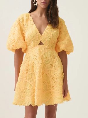 Embroidered V Neck Cinched Waist Short Dress