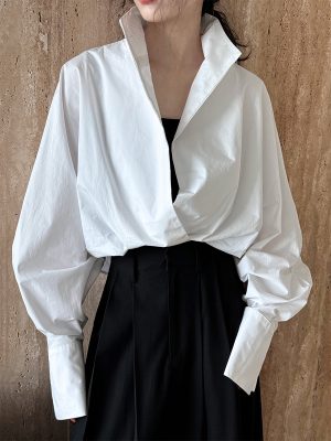 Commuter Style Elegant V-Neck Shirt Blouse
