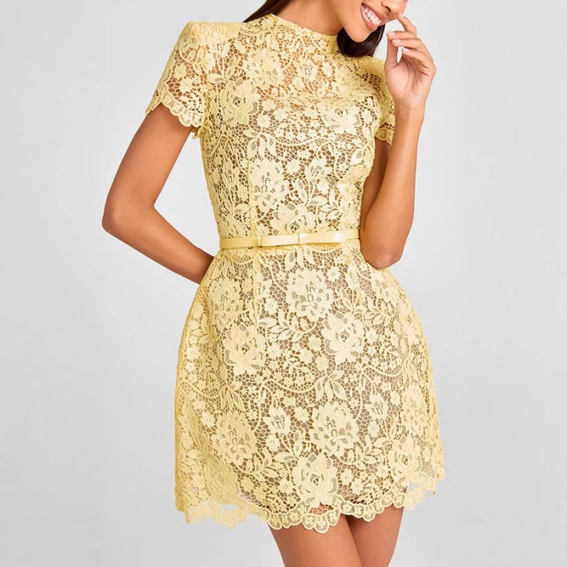 Yellow Lace See-Through Round Neck Dress - Image 2