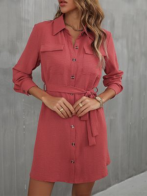 Early Autumn French Red Collared Shirt Dress