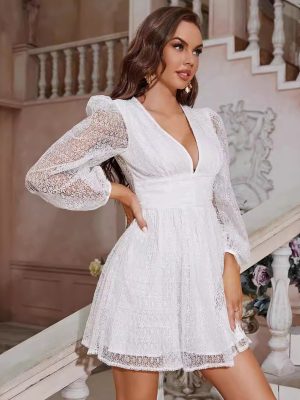 Waist Cinched Chiffon Dress with Mesh Sleeves