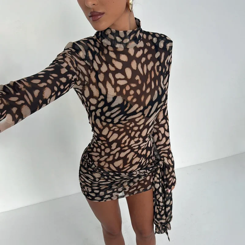 Leopard Print Sheer Bandage Dress Women - Image 3