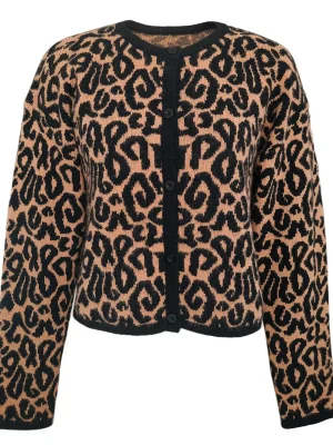 Women's Loose Fit Leopard Sweater