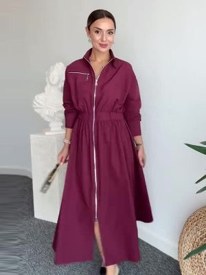 Women’s Autumn Minimalist Long Sleeve Waist Dress