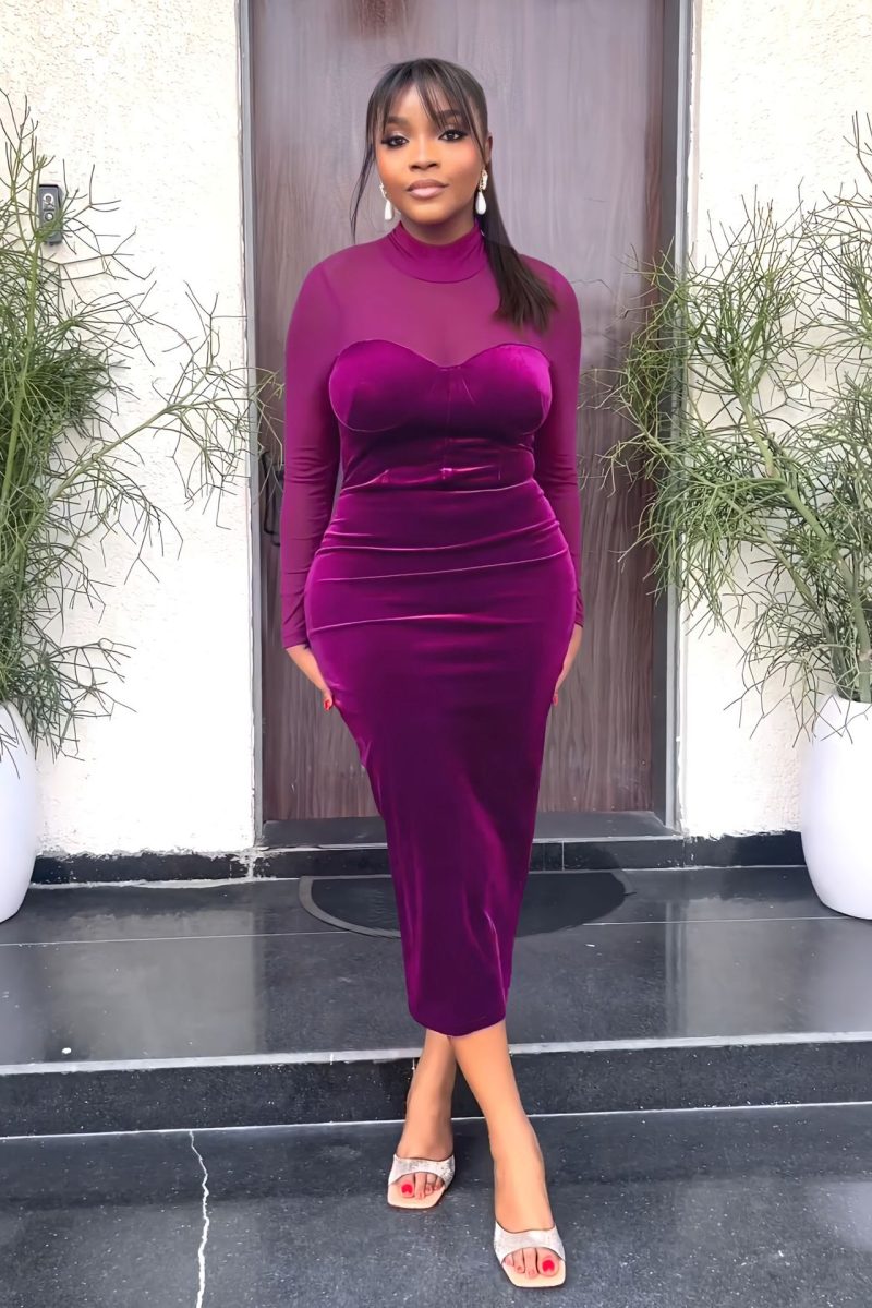 Long Sleeve Mesh Patchwork Slim Fit Dress
