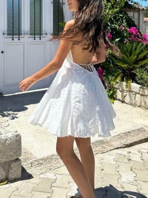 Hollow Out Embroidered Hanging Collar Dress