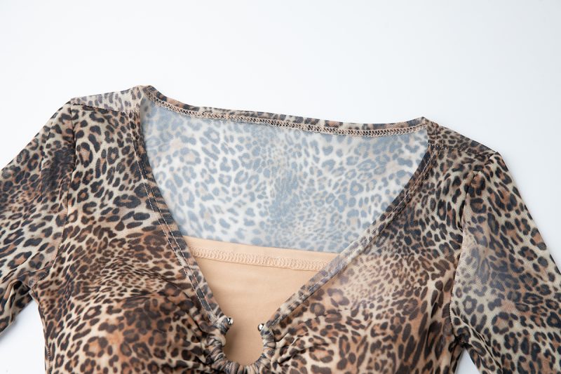 Women’s Leopard Print Long Sleeve Dress - Image 3