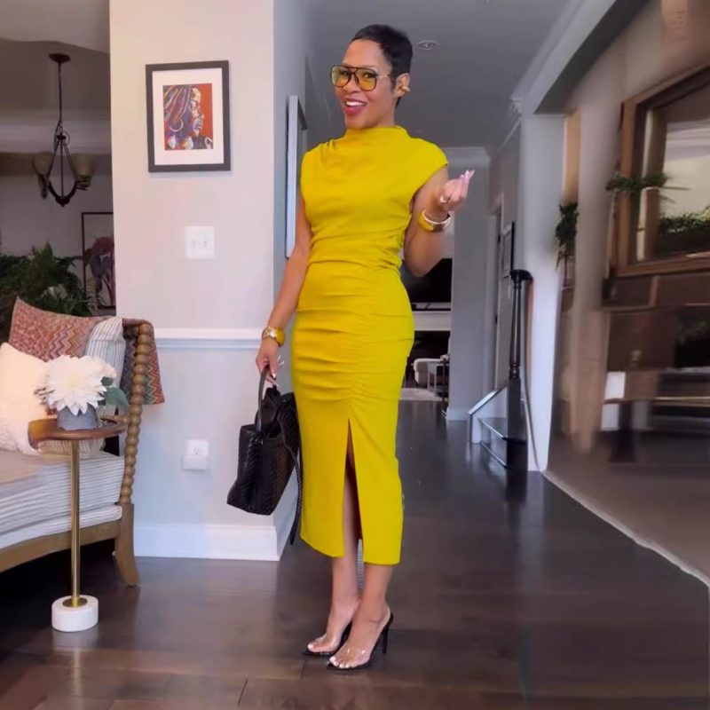 Solid Color Slim Fit Mid Length Sheath Dress