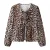 leopard 2