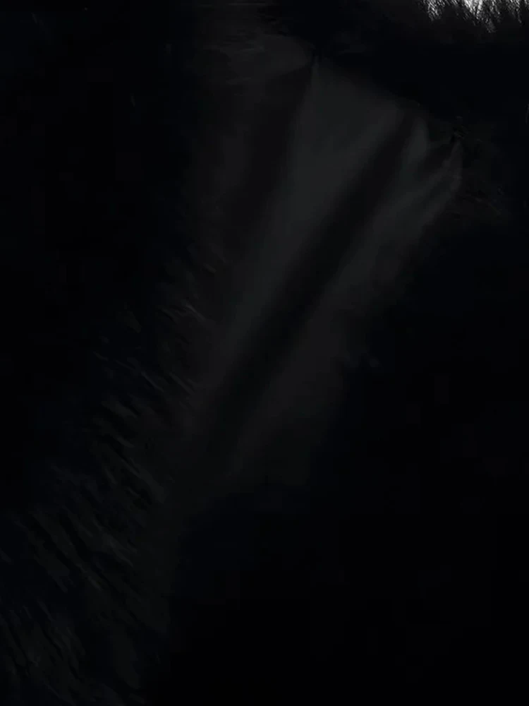 Women’s Faux Fur Collar Black Jacket - Image 4