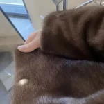 Women’s Plush Winter Jacket photo review