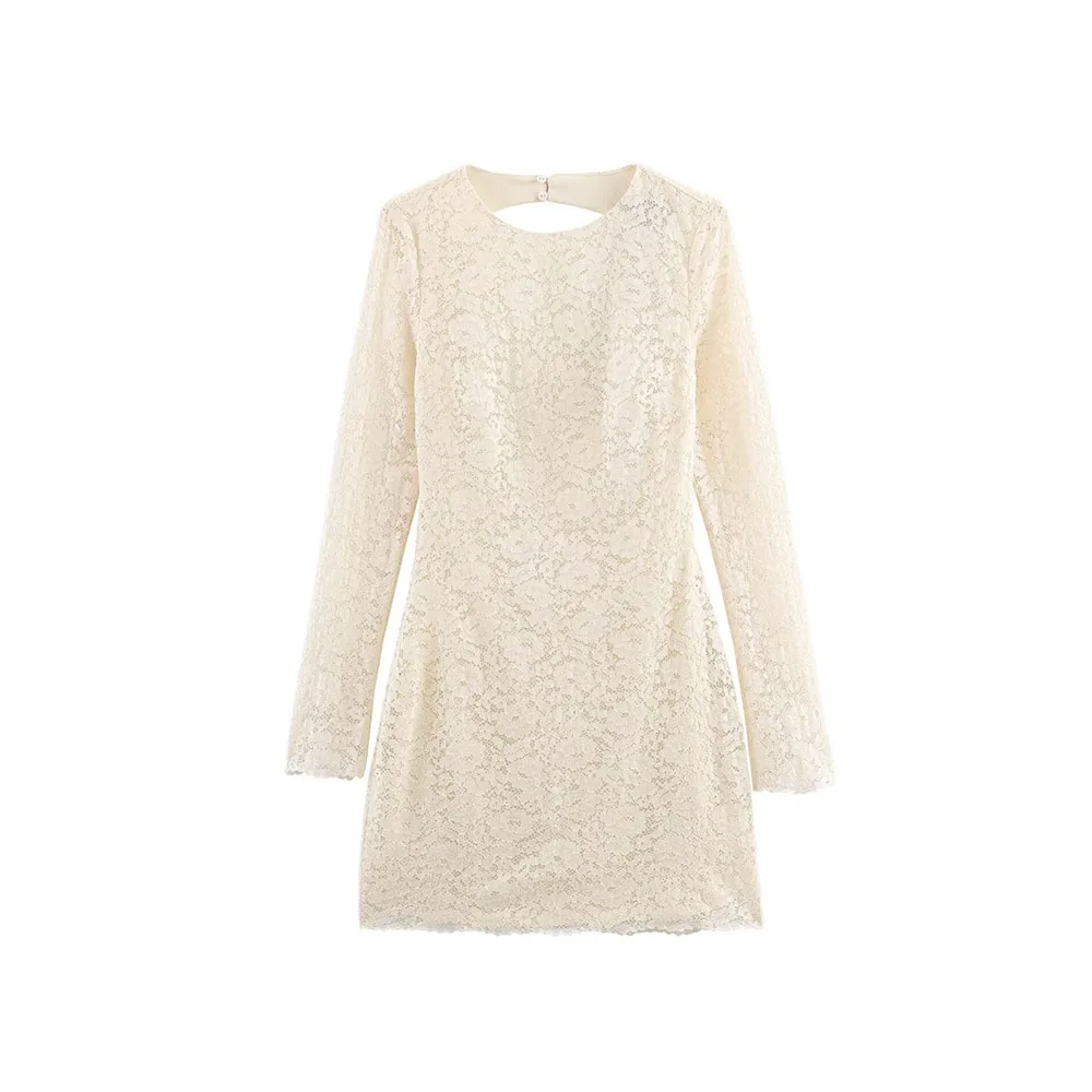 Autumn French Lace Short Dress