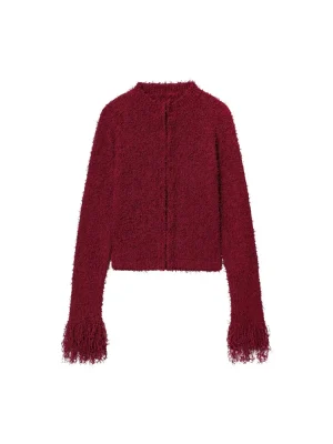 Autumn Fashionable Tassel Knit Jacket for Women
